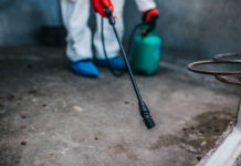 The Cheapest and Best Local Advertising Tip